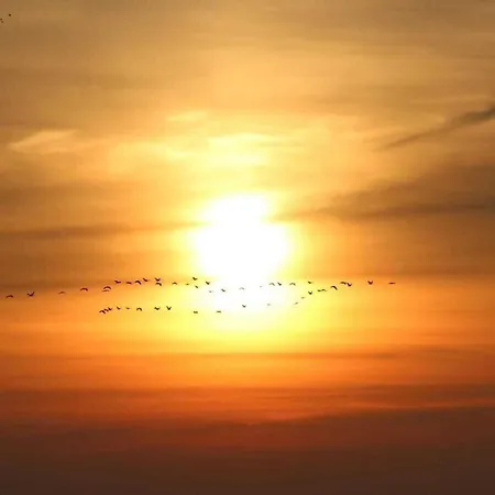 With 2 Bedrooms Bresewitz